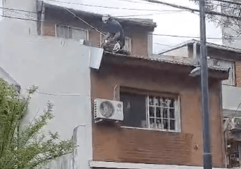 Reparación en techo de Tejas con zinguería